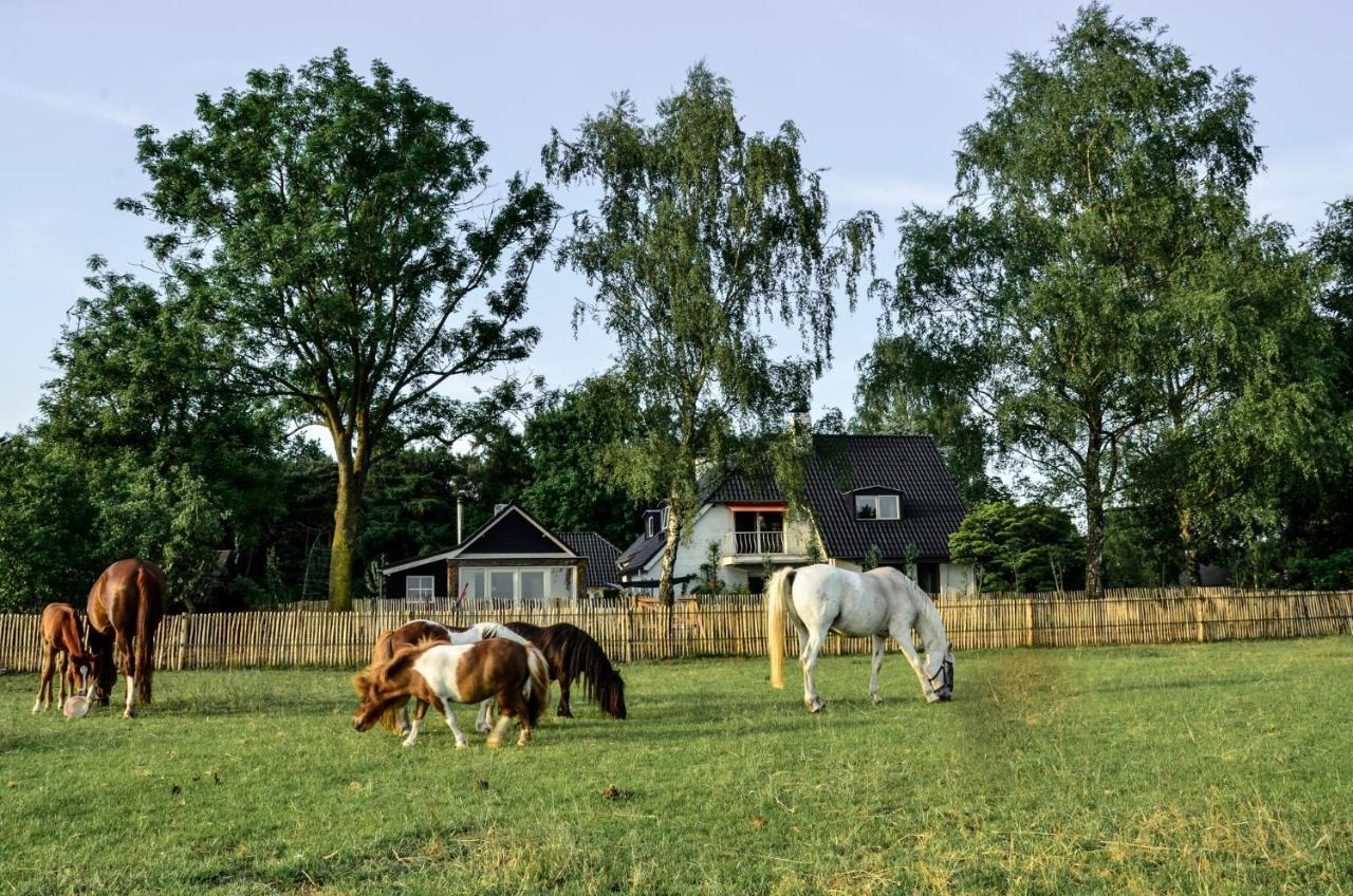 De Zandhoef